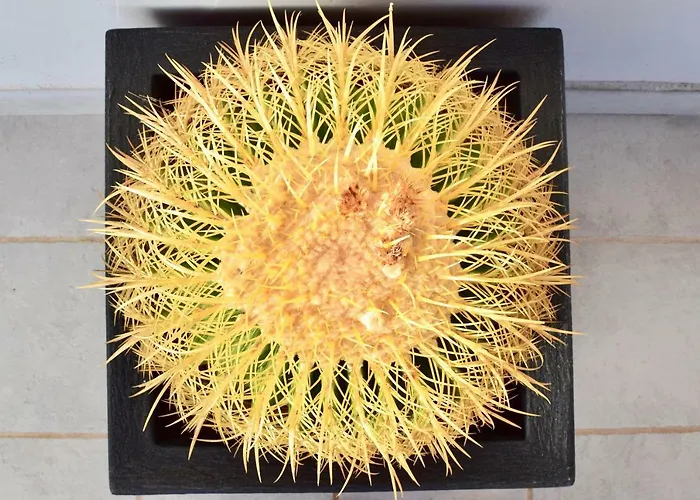 Βίλα Eslanzarote Kalima *